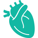 cardiology icon