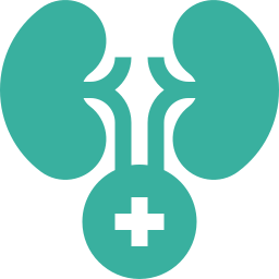 Urology